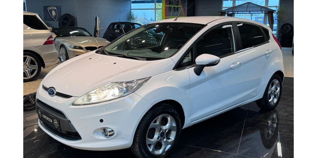 Ford Fiesta 194.865 km 1.995 &euro; Husum 25813