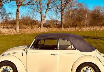 VW Käfer 99.999 km 25.500 &euro; Hennstedt 25779