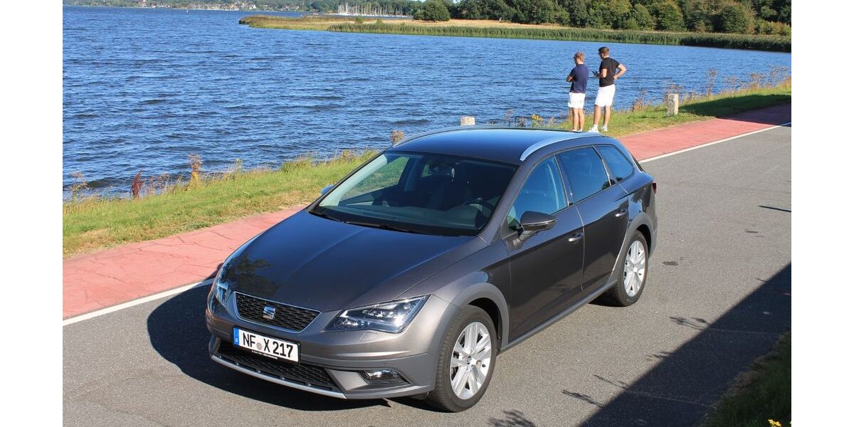 Seat Leon 116.000 km 14.699 &euro; Schwabstedt 25876