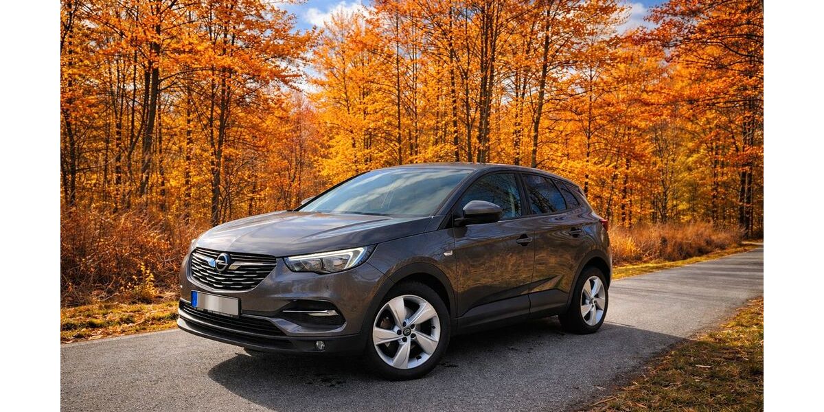 Opel Grandland (X) 99.400 km 11.980 &euro; Bredstedt 25821