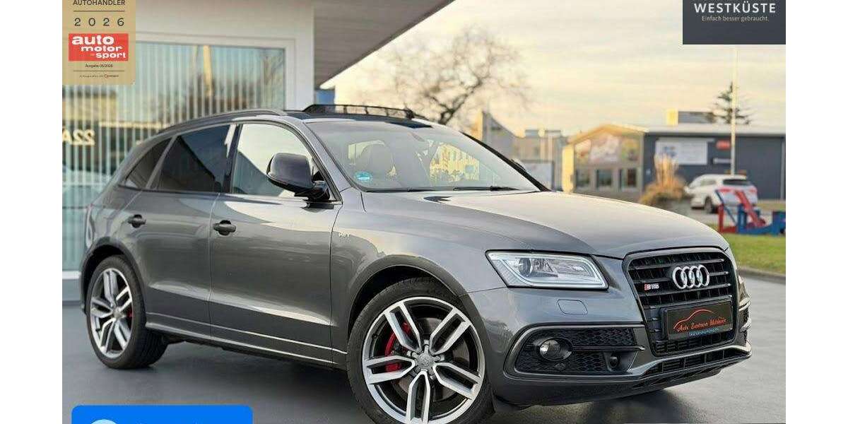 Audi SQ5 131.915 km 28.975 &euro; Husum 25813